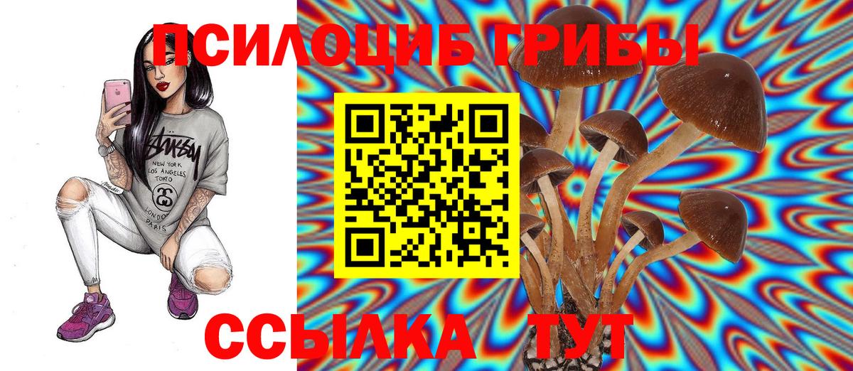 Галлюциногенные грибы мицелий  Псилоцибиновые грибы ЛСД  Туймазы  Вход с VPN 